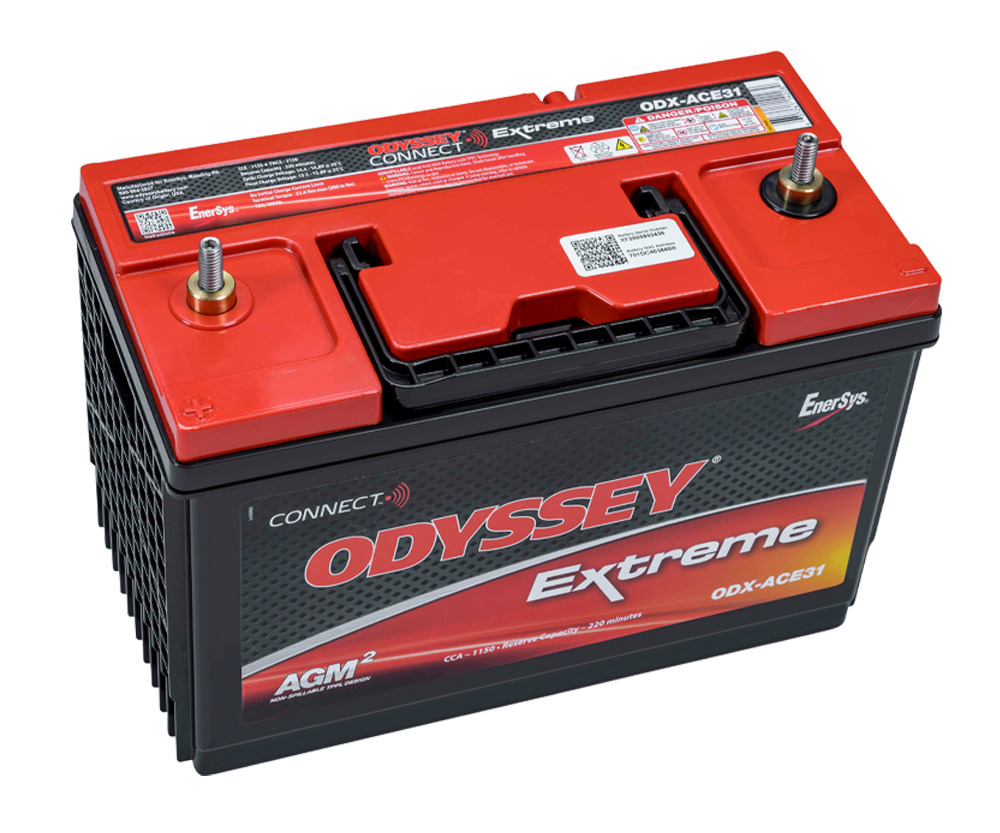 ODX-ACE31