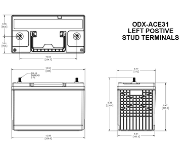 ODX-ACE31